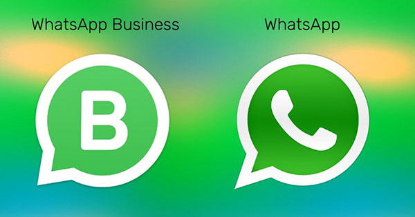 whatsapp business vs whatsapp