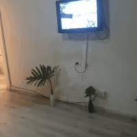 escort alquilo dpto en microcentro microcentro 