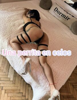 escort arlet recoleta videollamadas 