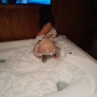 putas ludmila 32 san martin encuentros 