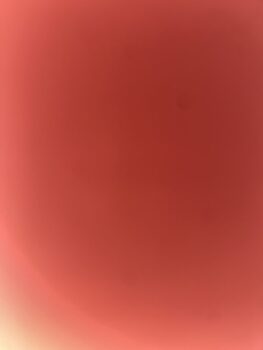 escort anto 20 villa gesell atencion a parejas 