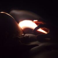 escort barbi palermo besos 