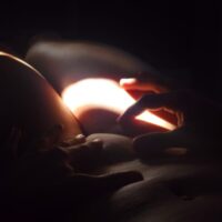 escort barbi palermo sexting 