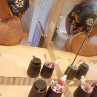 escort sofi zona norte videollamadas 