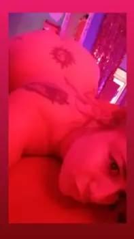 escort melo vip monte grande strippers 