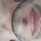 Ber
